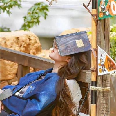 陆爷,夫人马甲又掉了